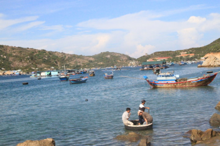 GMFC - Bóng bàn chuyến offline Nha Trang - 30/8 - 02/9 GMFC - Bóng bàn chuyến offline Nha Trang - 30/8 - 02/9