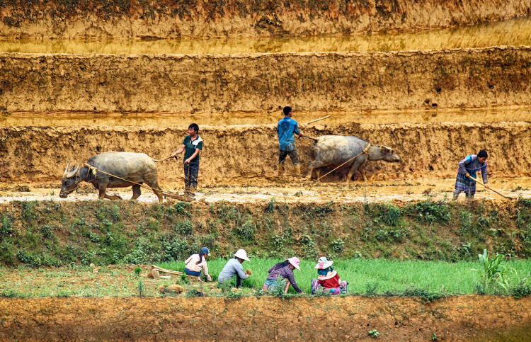 Lang thang mùa nước đổ!