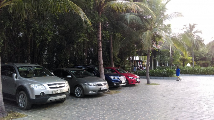 Đà Lạt vẫn còn là nơi để trở về và khám phá Đà Lạt vẫn còn là nơi để trở về và khám phá