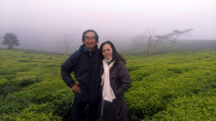 Đà Lạt vẫn còn là nơi để trở về và khám phá Đà Lạt vẫn còn là nơi để trở về và khám phá