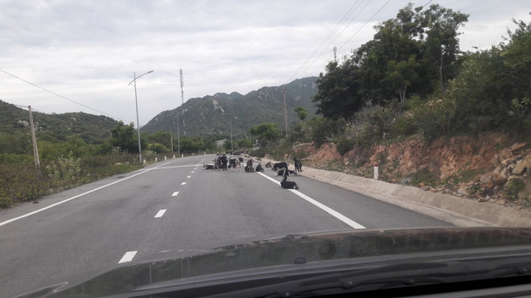SG--> BMT-> Phú Yên-> Nha Trang