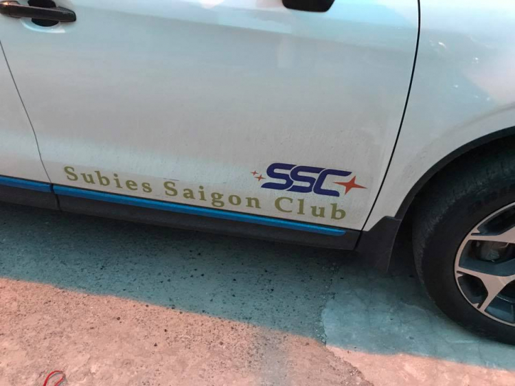 Gioăng cao su thế hệ mới - giải pháp giảm ồn, chống bụi và gia cố cửa hoàn hảo (hình ảnh tổng hợp) Gioăng cao su thế hệ mới - giải pháp giảm ồn, chống bụi và gia cố cửa hoàn hảo (hình ảnh tổng hợp)