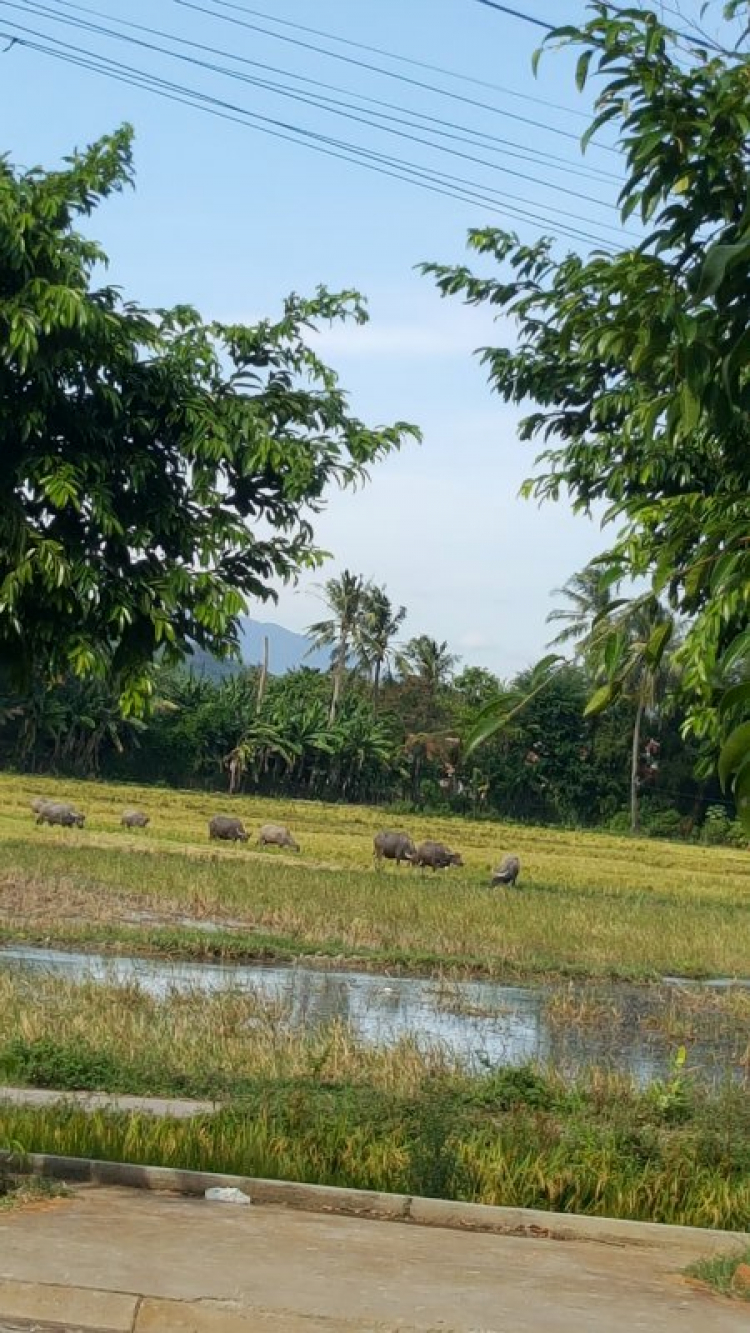 Du lịch tiết kiệm SG-PT-VT-CT-Nam Du- ShiahanoukVille- Koh Rong