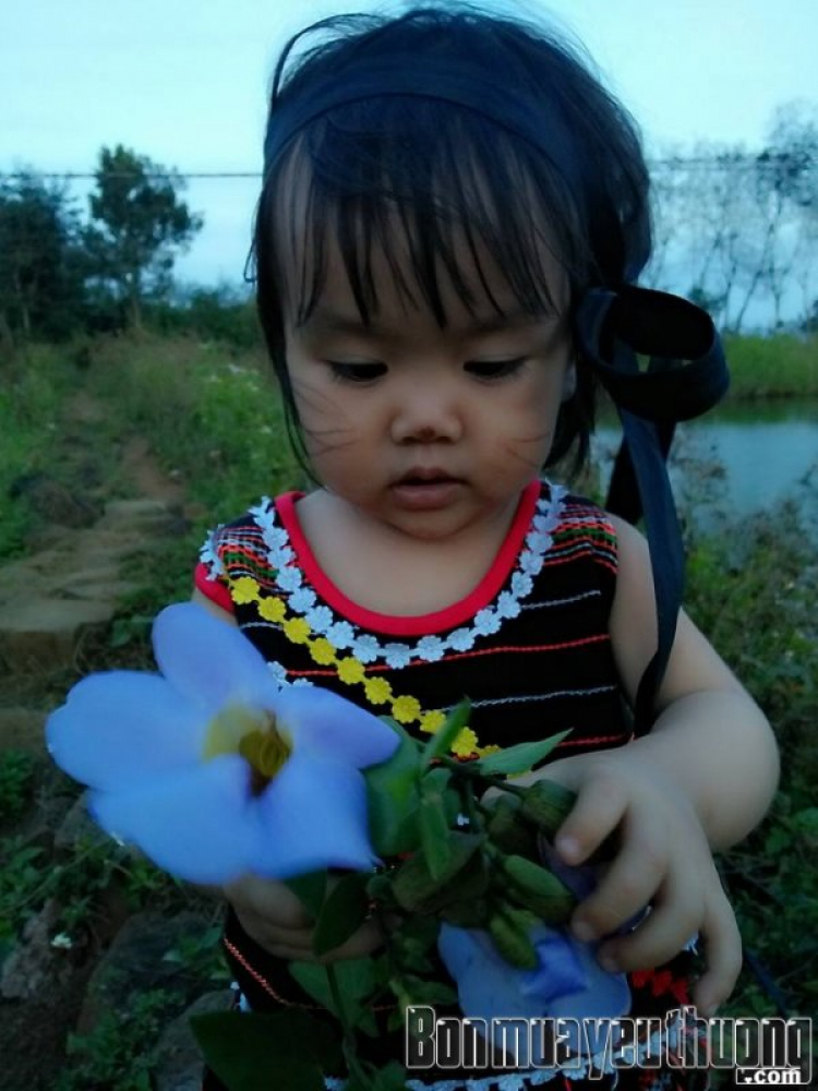 Hè về ! Hè về !