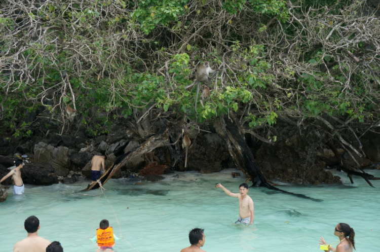 MBFC khởi hành Caravan Hè 2014 : Sài Gòn, Việt Nam – Phuket, TháiLan