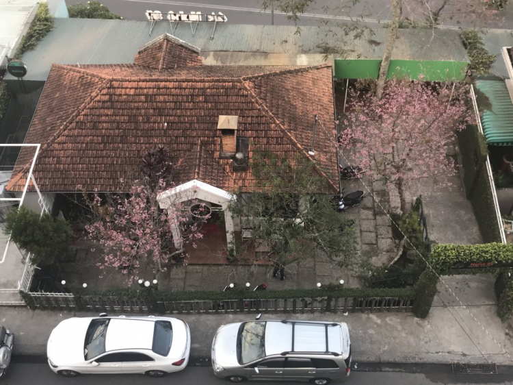 Đà Lạt ngày mai