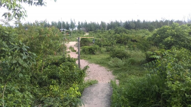Đà Lạt ngày mai