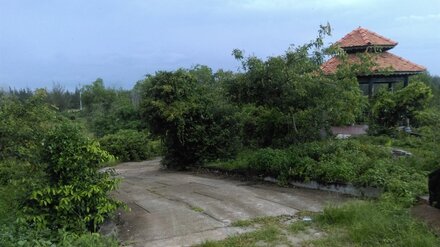 IMAG2692.jpg