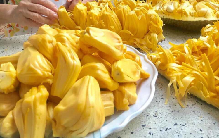 Vạch nét đứt ở khu vực cấm vượt Vạch nét đứt ở khu vực cấm vượt