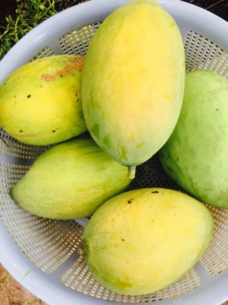 Vạch nét đứt ở khu vực cấm vượt Vạch nét đứt ở khu vực cấm vượt
