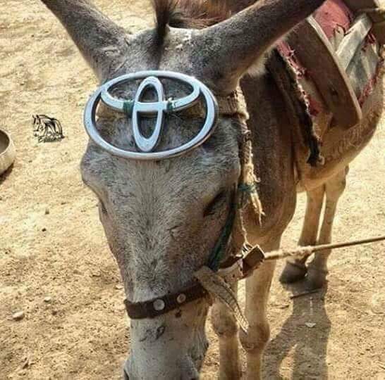 Camry: Trao đổi kinh nghiệm sửa chữa, phụ tùng Camry 8X 9X 0X (Đời 86 đến 2000)