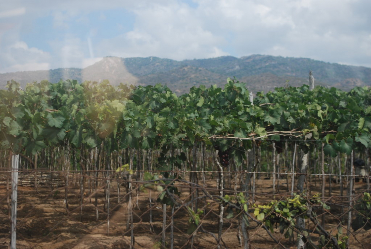 Hành trình SG-Lagi-Phan Rang-Nha Trang (4 ngày, 3 đêm)