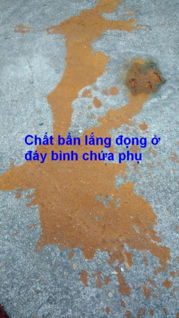 Jolie - Chiếc xe thân thiện