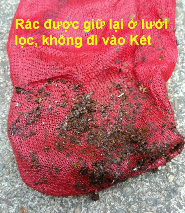 Jolie - Chiếc xe thân thiện