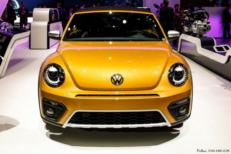 thông tin về : Beetle -Volkswagen