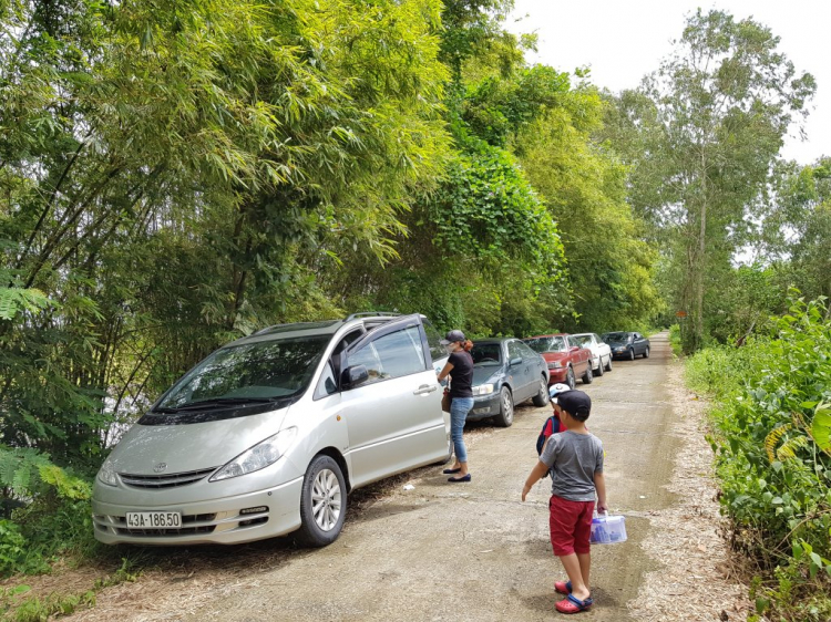 Camry 8x, 9x đến 01 ốp "" cá linh non đầu mùa"" tại Cao Lãnh