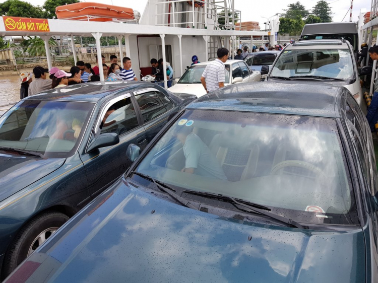 Camry 8x, 9x đến 01 ốp "" cá linh non đầu mùa"" tại Cao Lãnh Camry 8x, 9x đến 01 ốp "" cá linh non đầu mùa"" tại Cao Lãnh