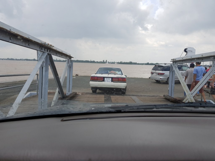 Camry 8x, 9x đến 01 ốp "" cá linh non đầu mùa"" tại Cao Lãnh Camry 8x, 9x đến 01 ốp "" cá linh non đầu mùa"" tại Cao Lãnh