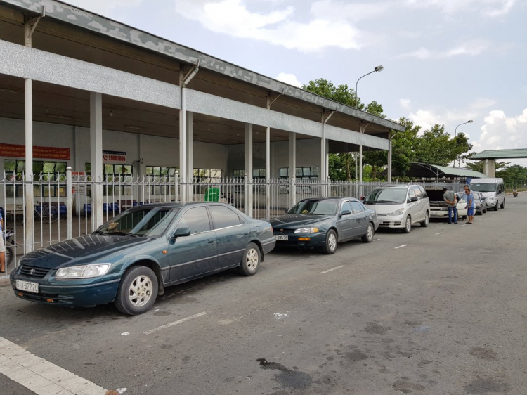Camry 8x, 9x đến 01 ốp "" cá linh non đầu mùa"" tại Cao Lãnh Camry 8x, 9x đến 01 ốp "" cá linh non đầu mùa"" tại Cao Lãnh