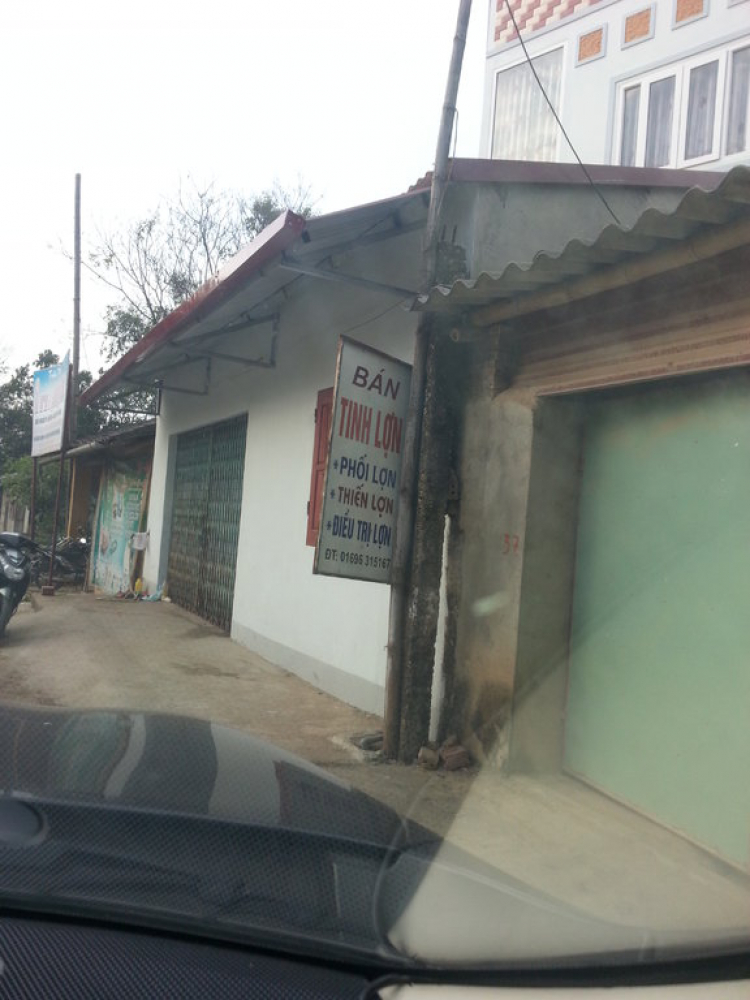 Du xuân Tây bắc. Du xuân Tây bắc.