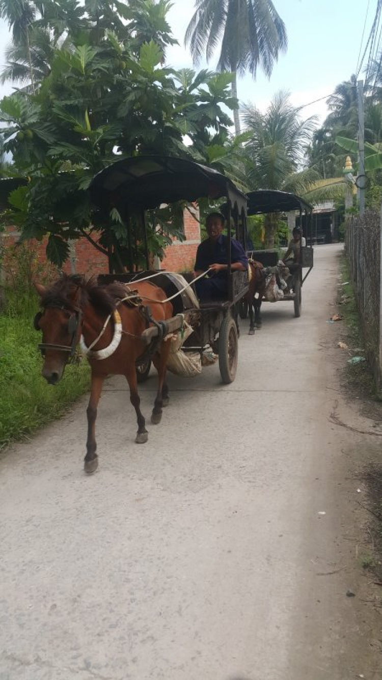 Mưu sinh .... không nhàn nhã