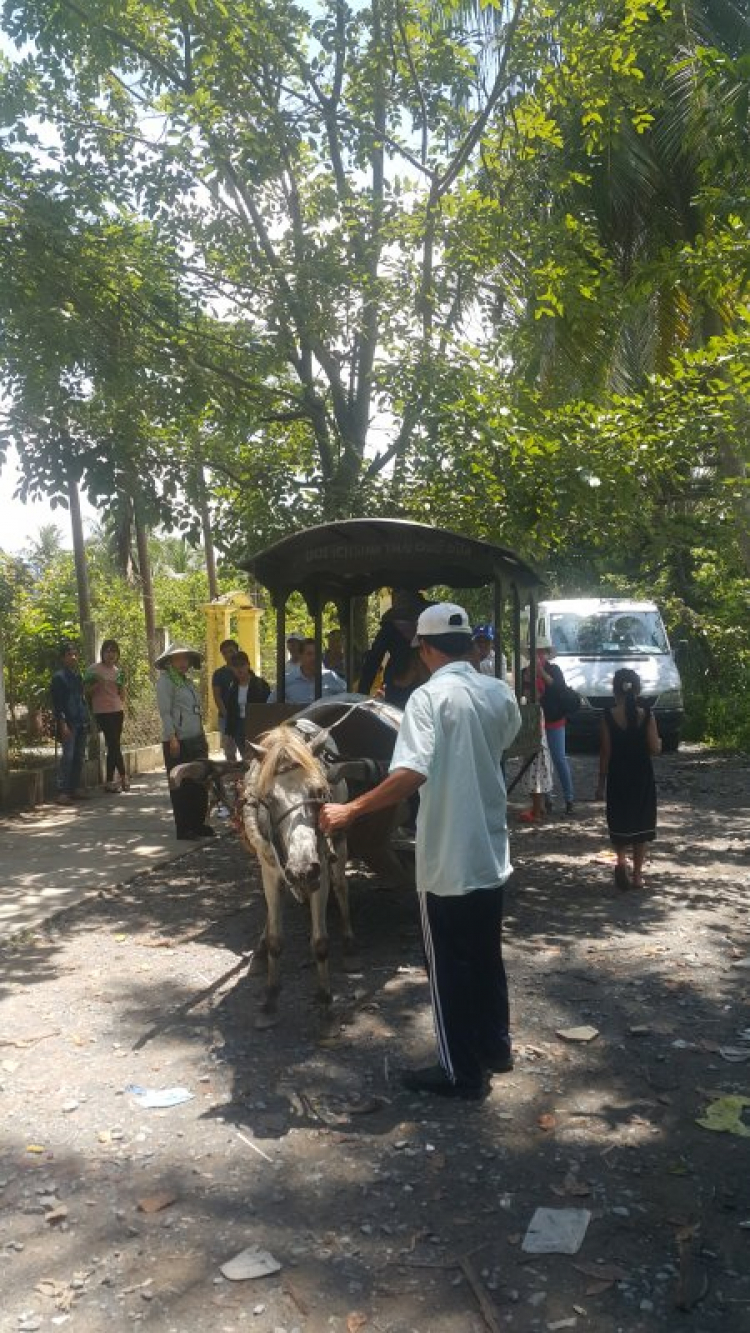 Mưu sinh .... không nhàn nhã