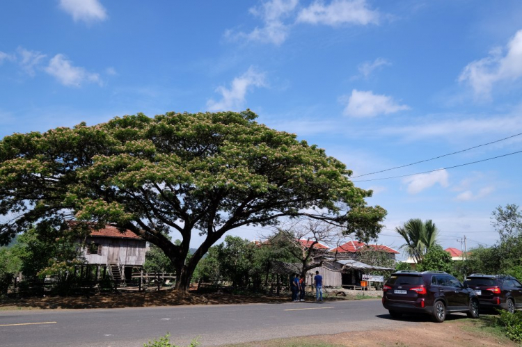 Hành trình Vờ-Cờ-Lờ (Việt-Cam-Lào)