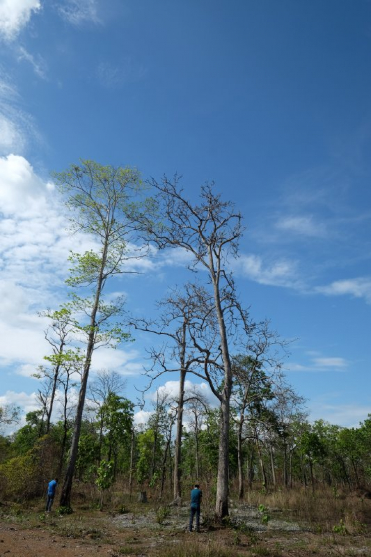 Hành trình Vờ-Cờ-Lờ (Việt-Cam-Lào) Hành trình Vờ-Cờ-Lờ (Việt-Cam-Lào)