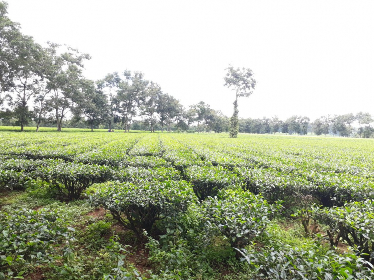 Jolie - Trên những nẻo đường Jolie - Trên những nẻo đường