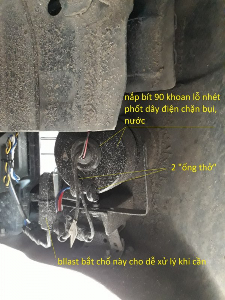 Jolie - Chiếc xe thân thiện