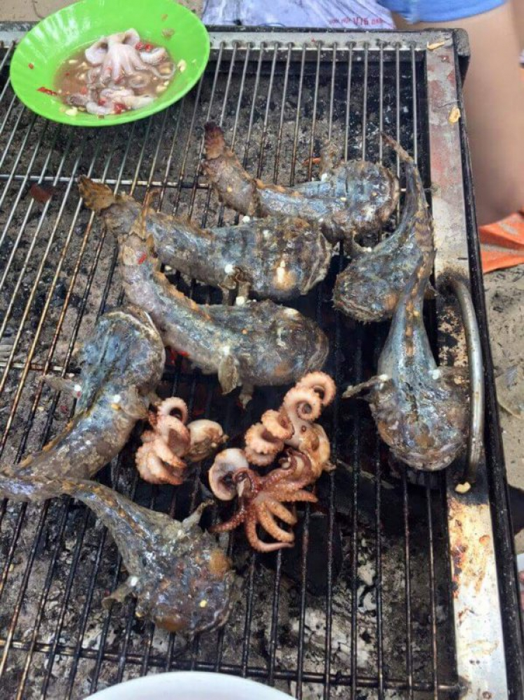 Jolie - Trên những nẻo đường Jolie - Trên những nẻo đường