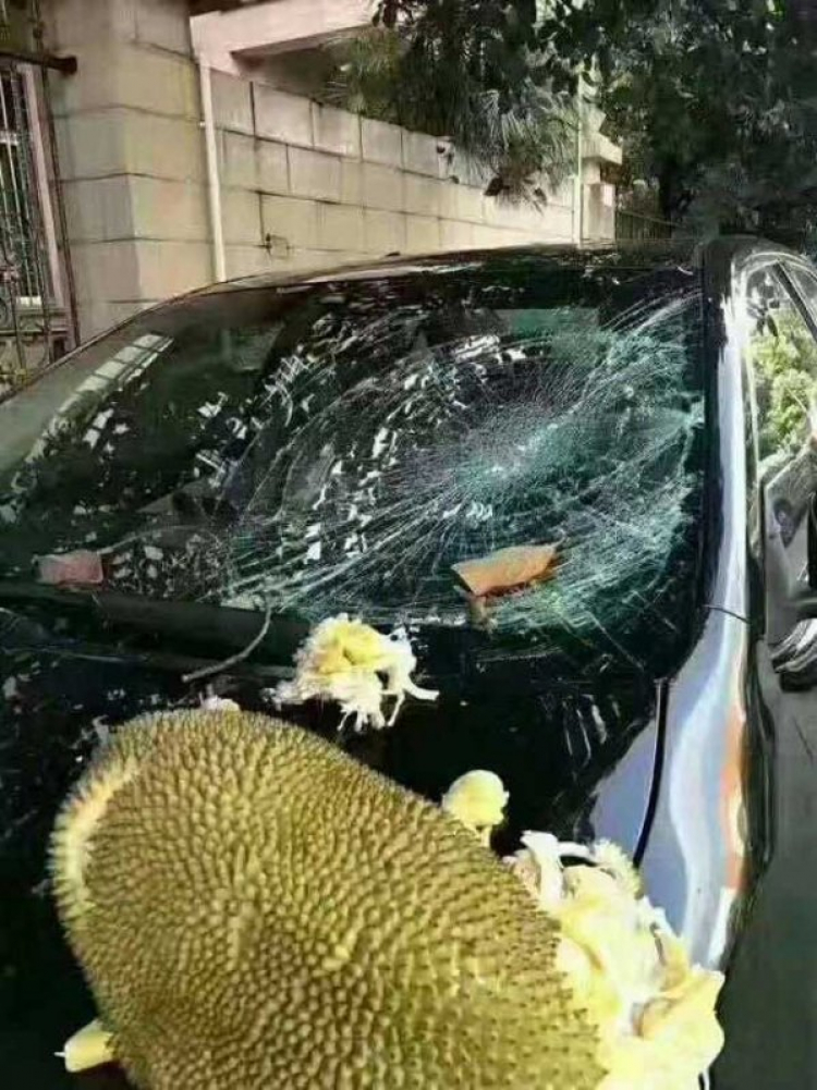 Dzầy thì Bảo hiểm đền ko các bác?