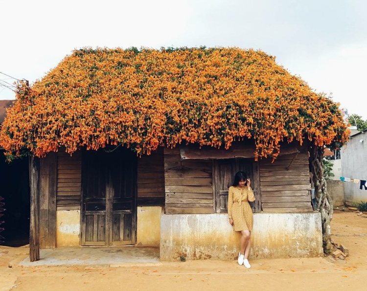DALAT GIỜ CHỈ CÒN TRONG KÝ ỨC DALAT GIỜ CHỈ CÒN TRONG KÝ ỨC