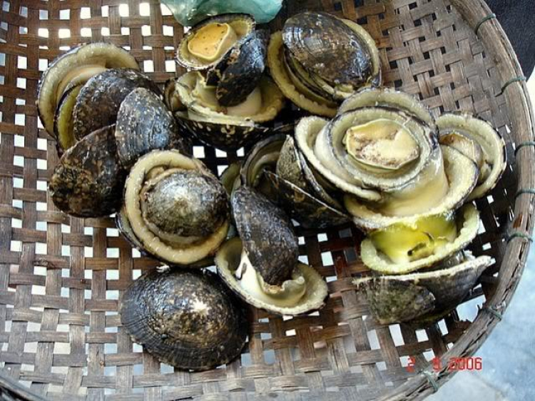 Jolie - Chiếc xe thân thiện