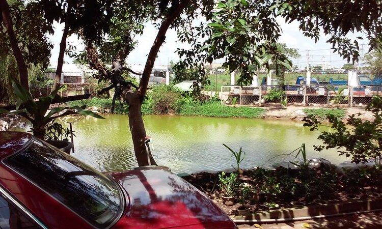 Anh em Camry 87-91 vô đây chơi Anh em Camry 87-91 vô đây chơi