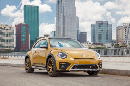 Beetle.jpg