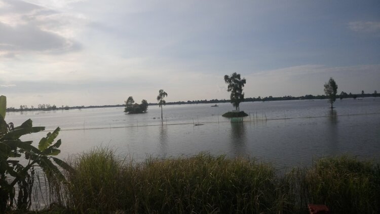 Jolie - Chiếc xe thân thiện