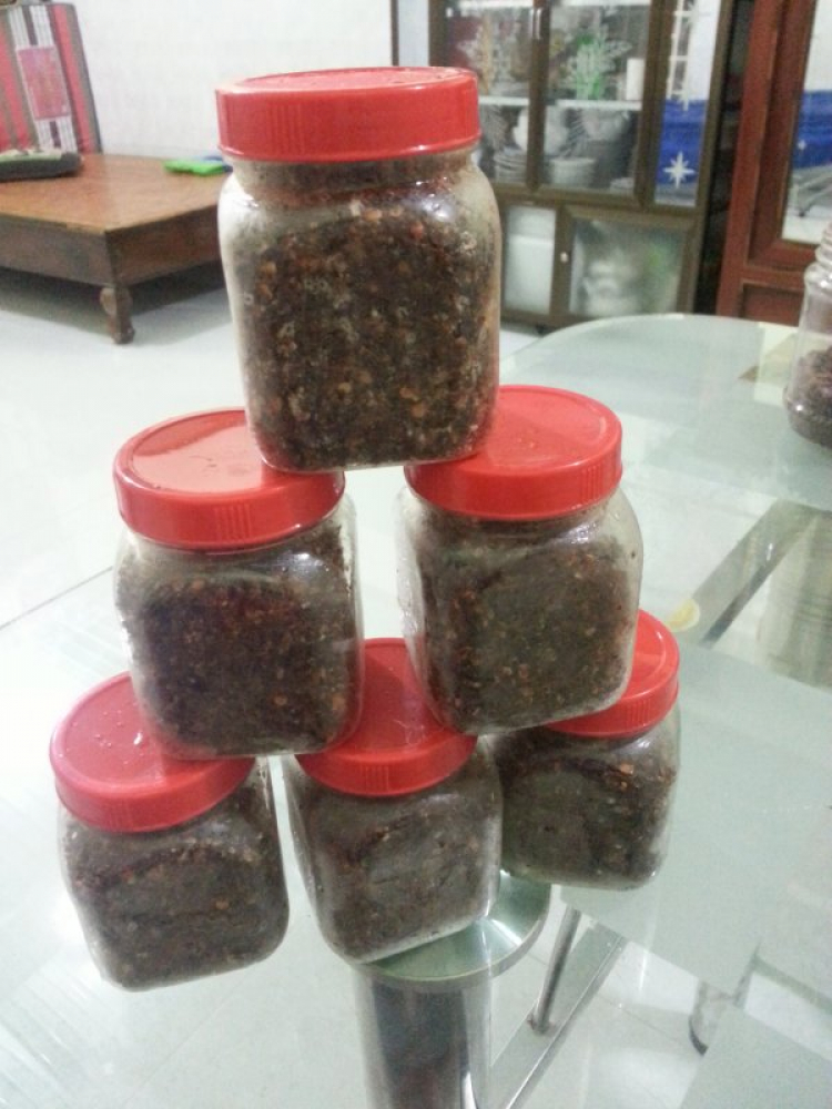 Jolie - Chiếc xe thân thiện