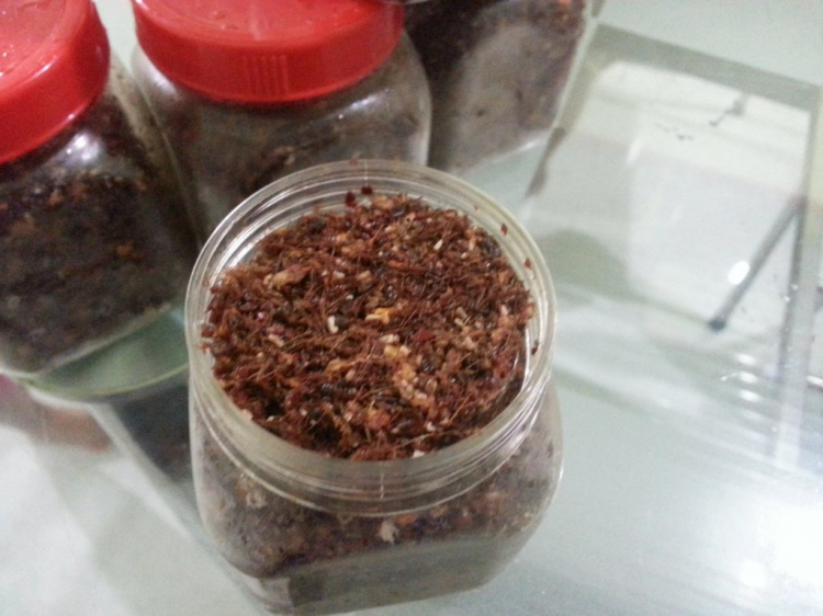 Jolie - Chiếc xe thân thiện