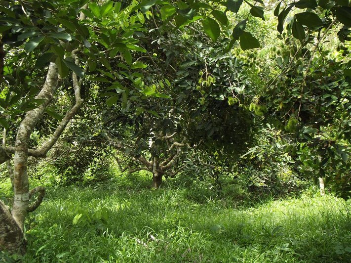Phú quốc – Hà tiên, Chuyến hành trình thú vị Phú quốc – Hà tiên, Chuyến hành trình thú vị