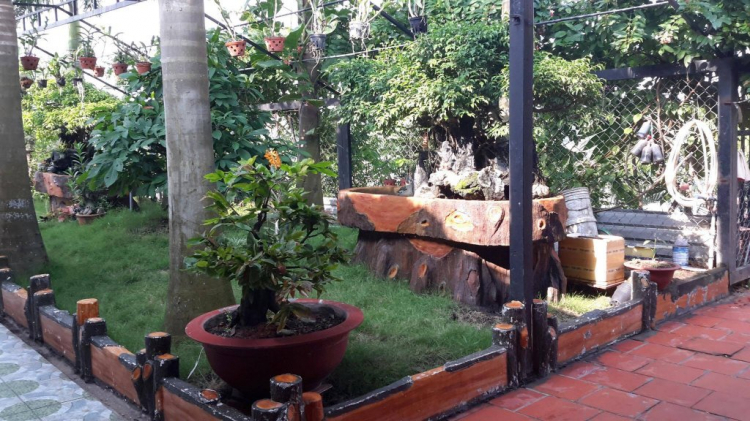 Đất Bình Chánh đang sốt???? Đất Bình Chánh đang sốt????