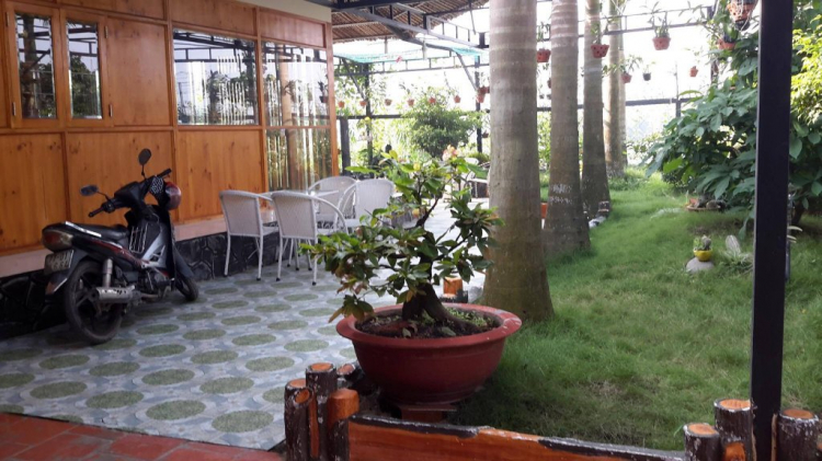 Đất Bình Chánh đang sốt???? Đất Bình Chánh đang sốt????