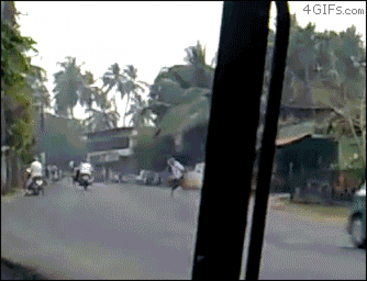 xe buýt tận tình xe buýt tận tình