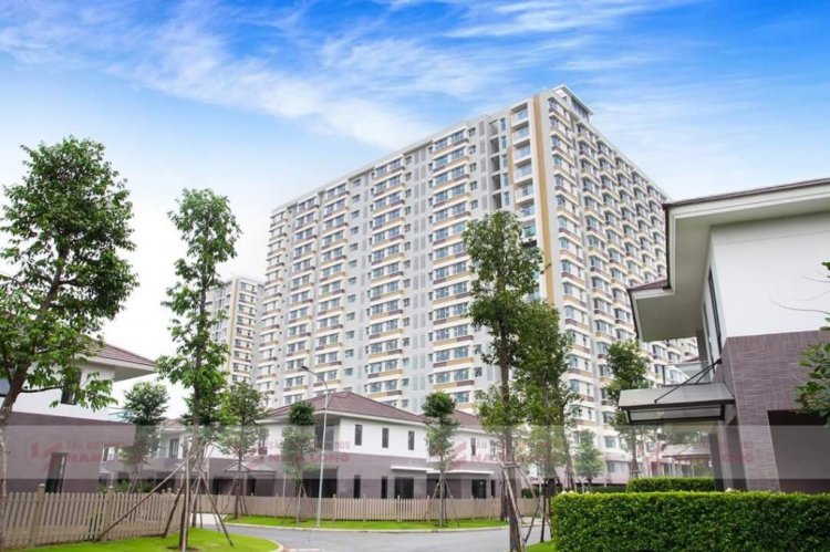 Flora Fuji Quận 9 Flora Fuji Quận 9