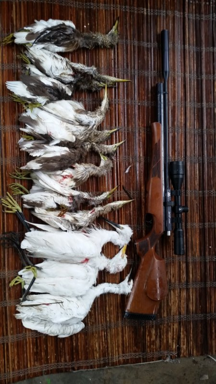 Airgun, niềm đam mê của phái mạnh!