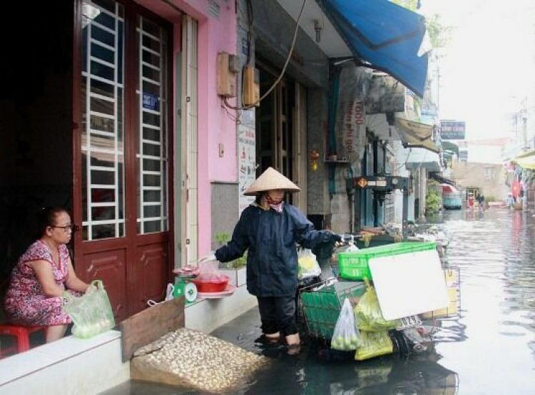 ngập đều rồi nhé,vài năm nữa thì quận 1 cũng như quận 7 thôi