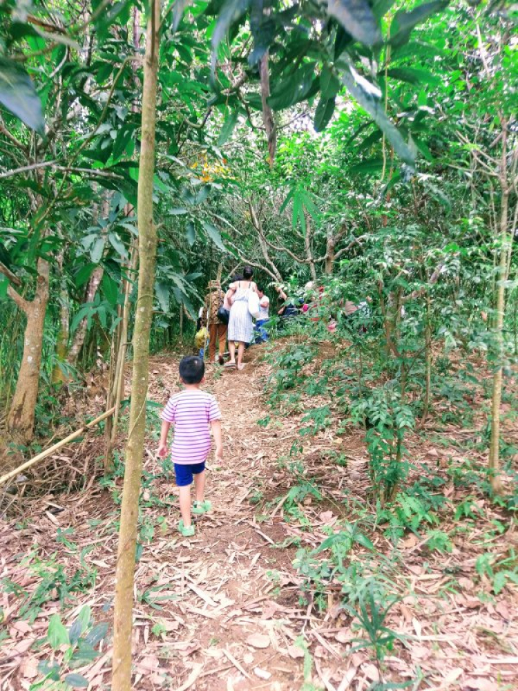 Ảnh ký: Miền Đông – Tây Nguyên cùng xế yêu Ảnh ký: Miền Đông – Tây Nguyên cùng xế yêu