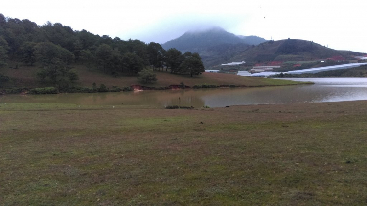 Tổng hợp các thớt về DALAT từ A đến Z Tổng hợp các thớt về DALAT từ A đến Z