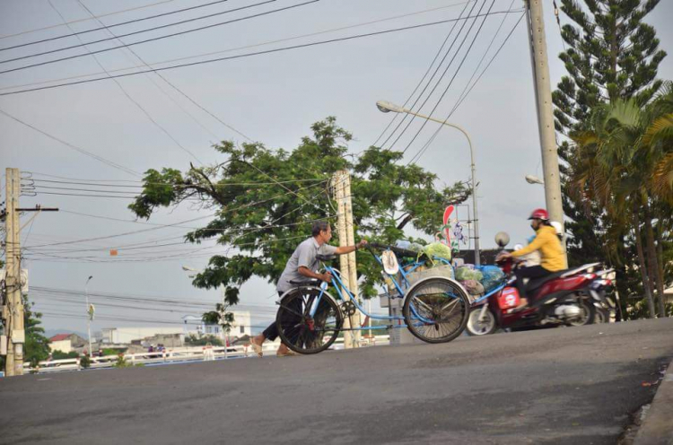 Mưu sinh .... không nhàn nhã