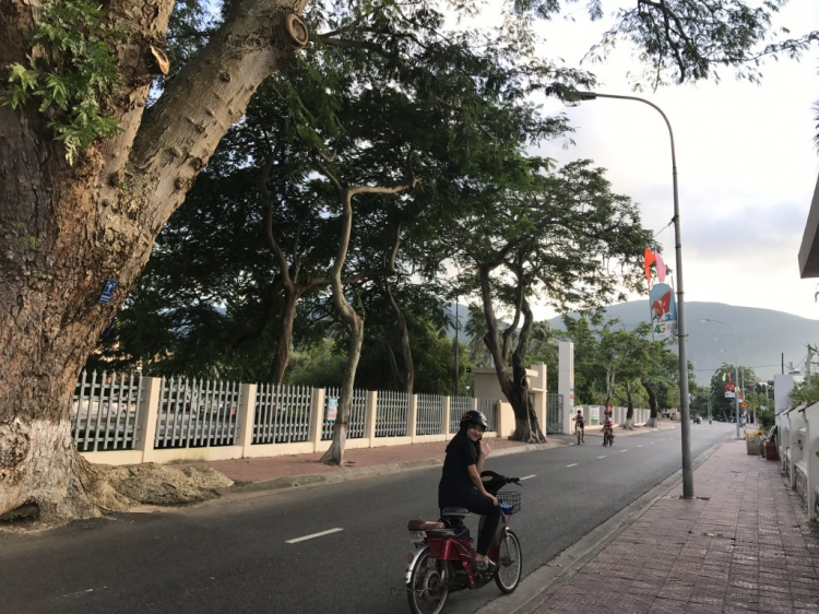 Phượt đi Côn Đảo có khó không? Như thế nào? Phượt đi Côn Đảo có khó không? Như thế nào?